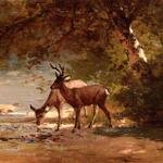 Hill_Thomas_Deer_in_a_Landscape