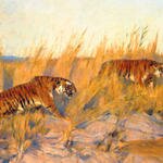 Tigers