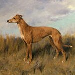 Wardle_Arthur_Henrietta_Horn_A_Greyhound