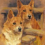 Wardle_Arthur_Two_Corgies