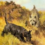 Wardle_Arthur_Two_Scotties_In_A_Landscape