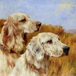 Wardle_Arthur_Two_Setters