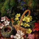 Clare George Primroses Apple Blossom And A Birds Nest On A Mossy Bank
