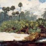 Homer_Winslow_In_a_Florida_Jungle