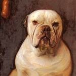 Matsch_Franz_von_A_Bulldog