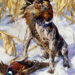 Pater Andre A Pointer And A Pheasant