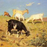 Correa_Benito_Rebolledo_Goats_Grazing_On_A_Hillside