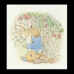 peter_rabbit15a_11x11