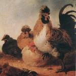 CUYP_Aelbert_Rooster_And_Hens