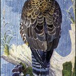 CharlesTunnicliffe-Index06-Buzzard_In_The_Rain_je