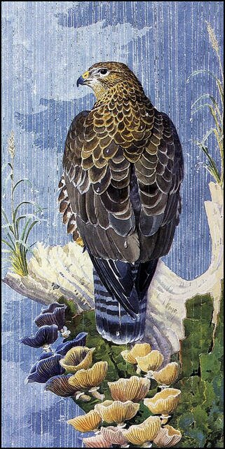 CharlesTunnicliffe-Index06-Buzzard_In_The_Rain_je