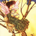 Canty_Thomas-Fairie-D50