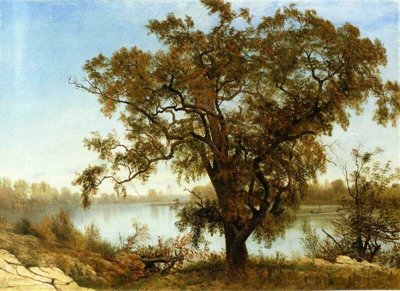 Bierstadt_Albert_A_View_from_Sacramento