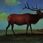 Bierstadt_Albert_Elk