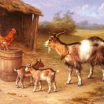 Hunt_Edgar_A_farmyard_Scene_With_Goats_And_Chickens