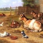 Hunt_Edgar_A_farmyard_Scene_With_Goats_Chickens_Doves