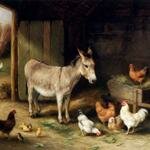 Hunt_Edgar_Donkey_Hens_And_Chickens_In_A_Barn