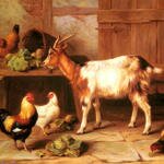 Hunt_Edgar_Goat_And_Chickens_Feeding_In_A_Cottage_Interior