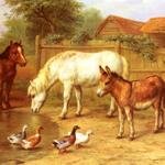 Hunt_Edgar_Ponies,_Donky_and_Ducks_In_A_Farmyard