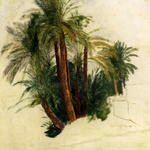 Lear_Edward_Study_Of_Palm_Trees