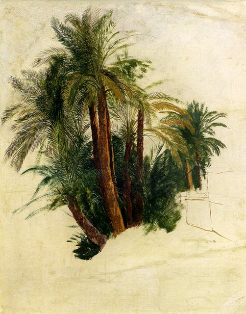 Lear_Edward_Study_Of_Palm_Trees