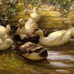 Koester_Alexander_Max_Enten_In_Wasser_Unter_Birken