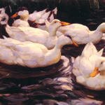 Six_Ducks_in_the_Pond