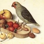 FLEGEL_Georg_Still_Life_With_Pygmy_Parrot