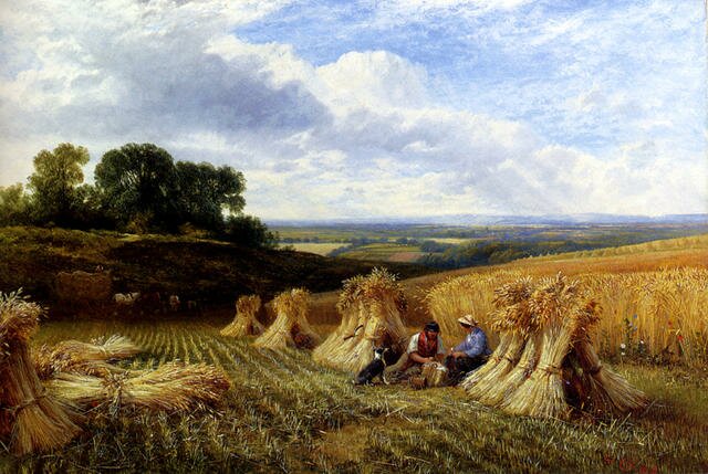 Cole_George_Harvest_Field