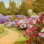 Marks_George_The_Rhododendron_Walk