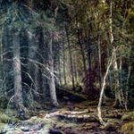 Shishkin_Ivan_Forest_c.1860