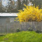 BackYard_YellowBush