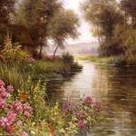 Fleur_au_bord_de_la_riviere