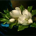 Giant_Magnolias_on_a_Blue_Velvet_Cloth_NGA