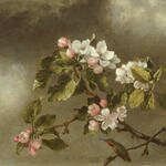 Heade_Martin_Johnson_Hummingbird_And_Apple_Blossoms