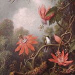 Heade_Martin_Johnson_Hummingbird_And_Passionflowers