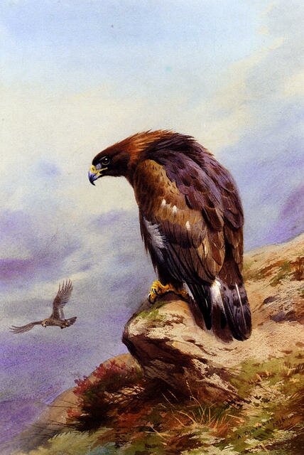 Thornburn_Archibald_A_Golden_Eagle