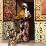 The_Pashas_Favourite_Tiger