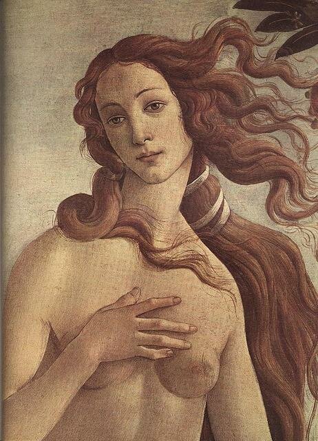 Venus_detail_EUR