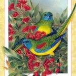 p-Australian_Birds_Cal2003_06