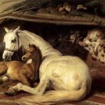 LANDSEER_Sir_Edwin_Henry_The_Arab_Tent