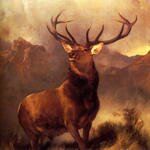 Landseer_Sir_Edwin_Monarch_Of_The_Glen